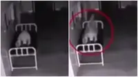 Sebuah rekaman video CCTV rumah sakit merekam penampakan 'awan' misterius bergerak keluar dari tubuh seseorang yang baru meninggal. (Sumber Daily Mail)
