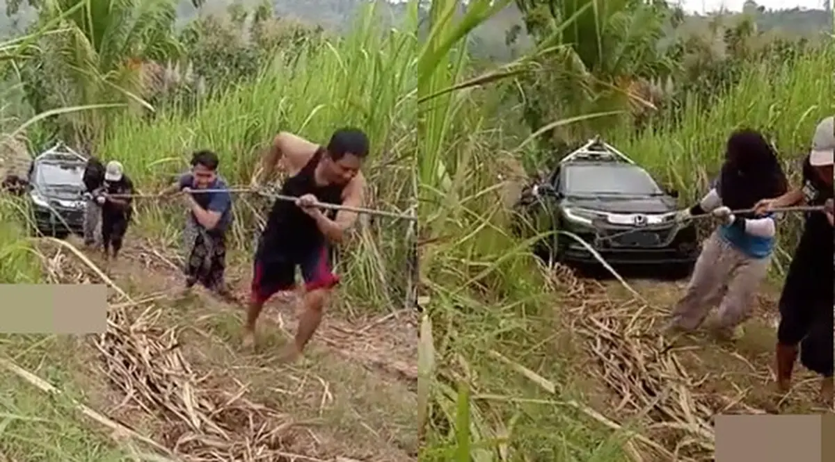 Viral Mobil Google Maps Nyasar di Area Perkebunan hingga Dievakuasi Warga -  Mobil Otosia.com