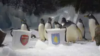 Ginny Si Penguin Ramalkan Arsenal Keok di Final Piala FA