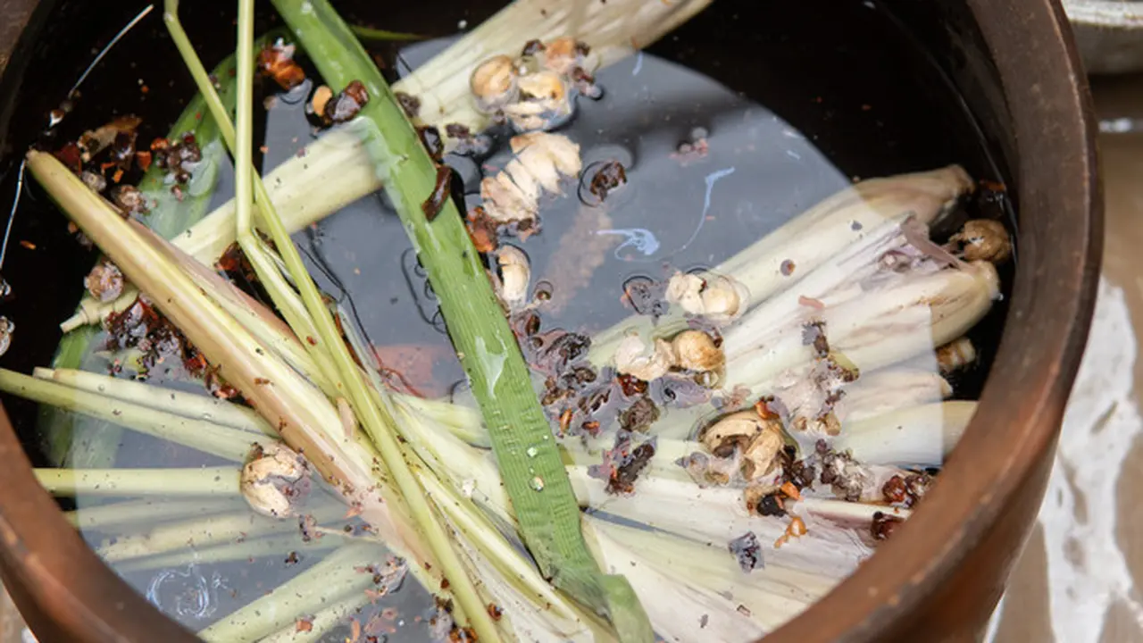 jamu serai