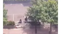 Video Pelaku Teror Ketika Meledakkan diri