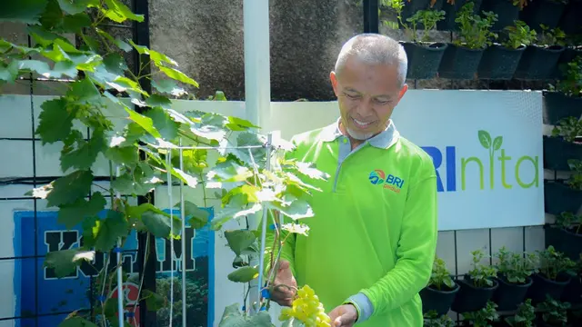 Poktan Dahlia RW 07 Cempaka Putih Barat Sulap Lahan Terbengkalai Jadi Lebih Indah dan Produktif