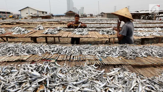 Produksi Ikan Meningkat