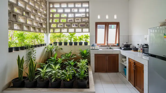 Desain Dapur Kecil Minimalis dengan Kombinasi Roster dan Tanaman