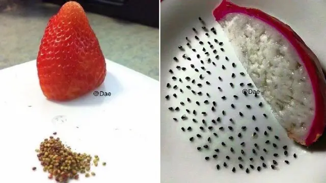 Bukannya Kenyang, Lihat 11 Tingkah Absurd Saat Makan Ini Malah Bikin Ketawa Geli