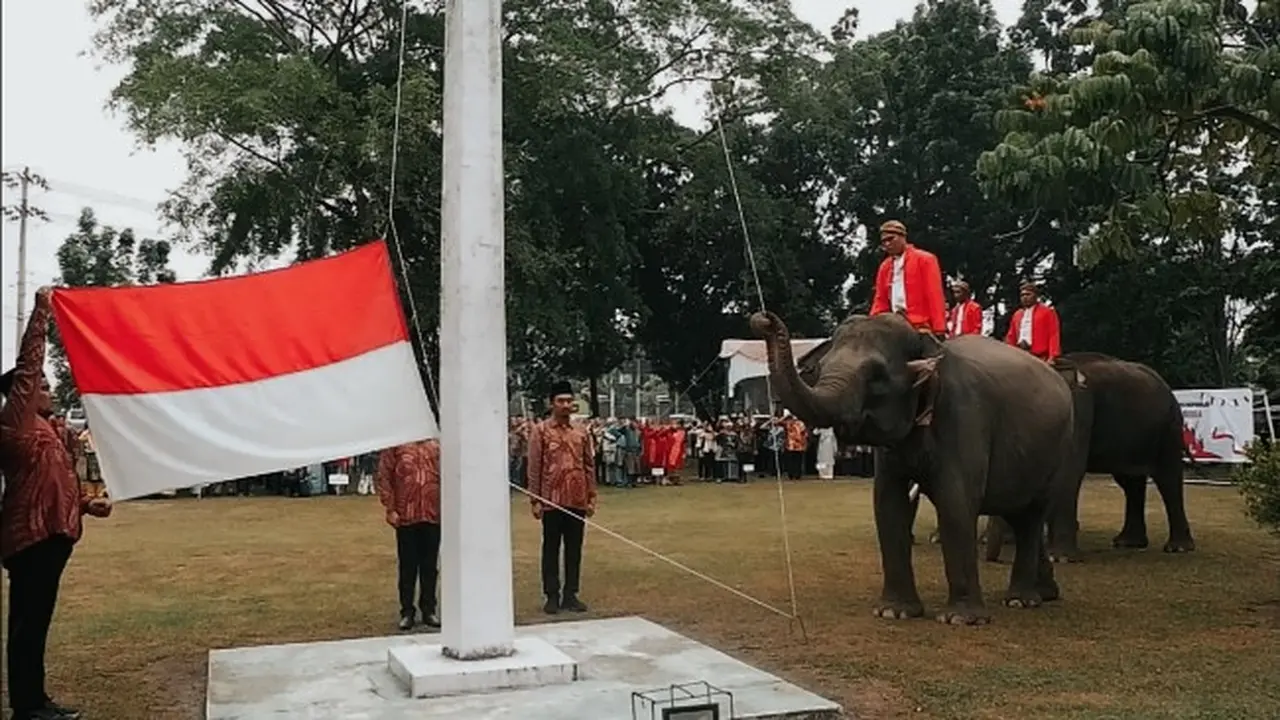 Gajah binaan BBKSDA Riau menjadi pasukan pengibar bendera dalam peringatan Hari Kemerdekaan Indonesia.