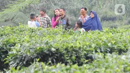 Warga berkeliling kebun teh di pinggir jalan raya yang menghubungkan Bogor-Cianjur di kawasan Gunung Mas, Puncak, Jawa Barat, Minggu (17/5/2020). Kegiatan ngabuburit atau menunggu waktu berbuka puasa ini melanggar aturan PSBB karena mengundang kerumunan massa. (merdeka.com/Arie Basuki)