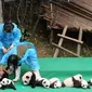 Sekitar 11 ekor anak-anak panda raksasa membuat penampilan perdana mereka di hadapan publik