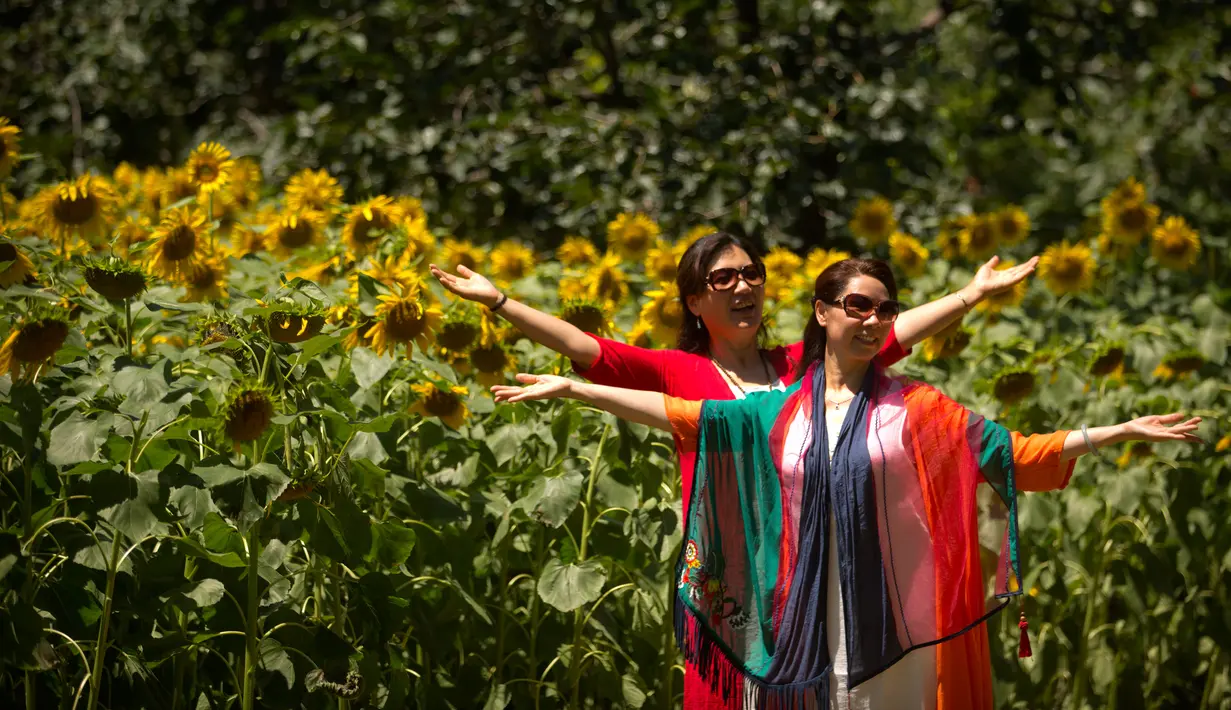 Dua wanita berpose di dekat bunga matahari yang mekar di Olympic Forest Park, Beijing, China (10/7). Pihak berwenang mengeluarkan peringatan gelombang panas yang diperkirakan melonjak di atas 95 derajat (35 C ). (AP Photo/Mark Schiefelbein)