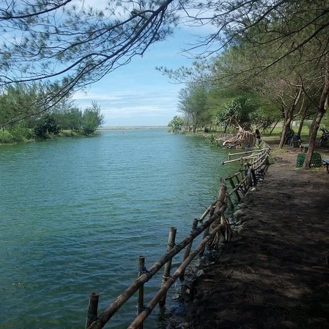 Laguna Pantai Glagah Jadi Daya Tarik Wisatawan Di Kulonprogo Lifestyle Liputan6 Com