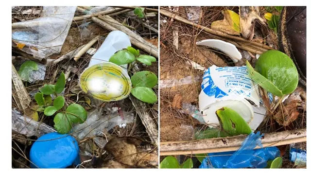 Sampah dari Indonesia Hanyut Hingga Phuket, Thailand