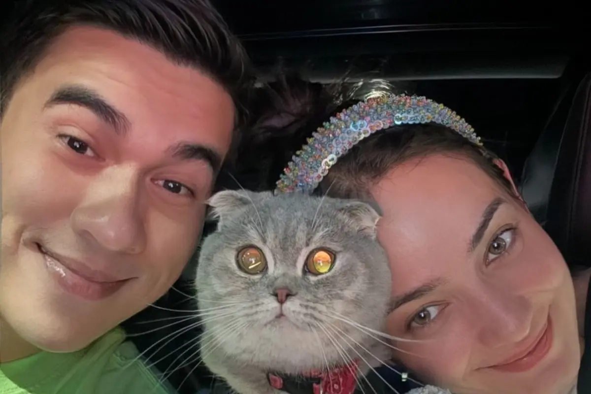 Momen Enzy Storia dan Molen Kasetra membagikan cerita manis bersama seekor kucing betina jenis Scottish Fold bernama Phoebe (Instagram/@enzystoria)