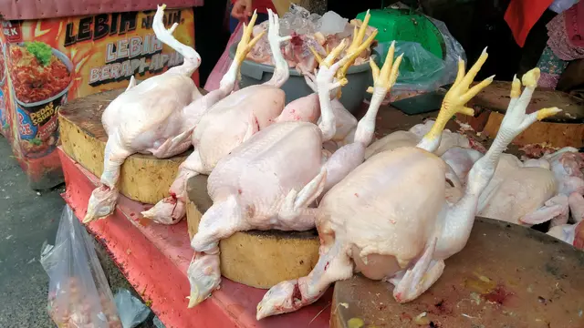 Harga Pangan Pasar Kebayoran Lama, Senin (24/8/2026)