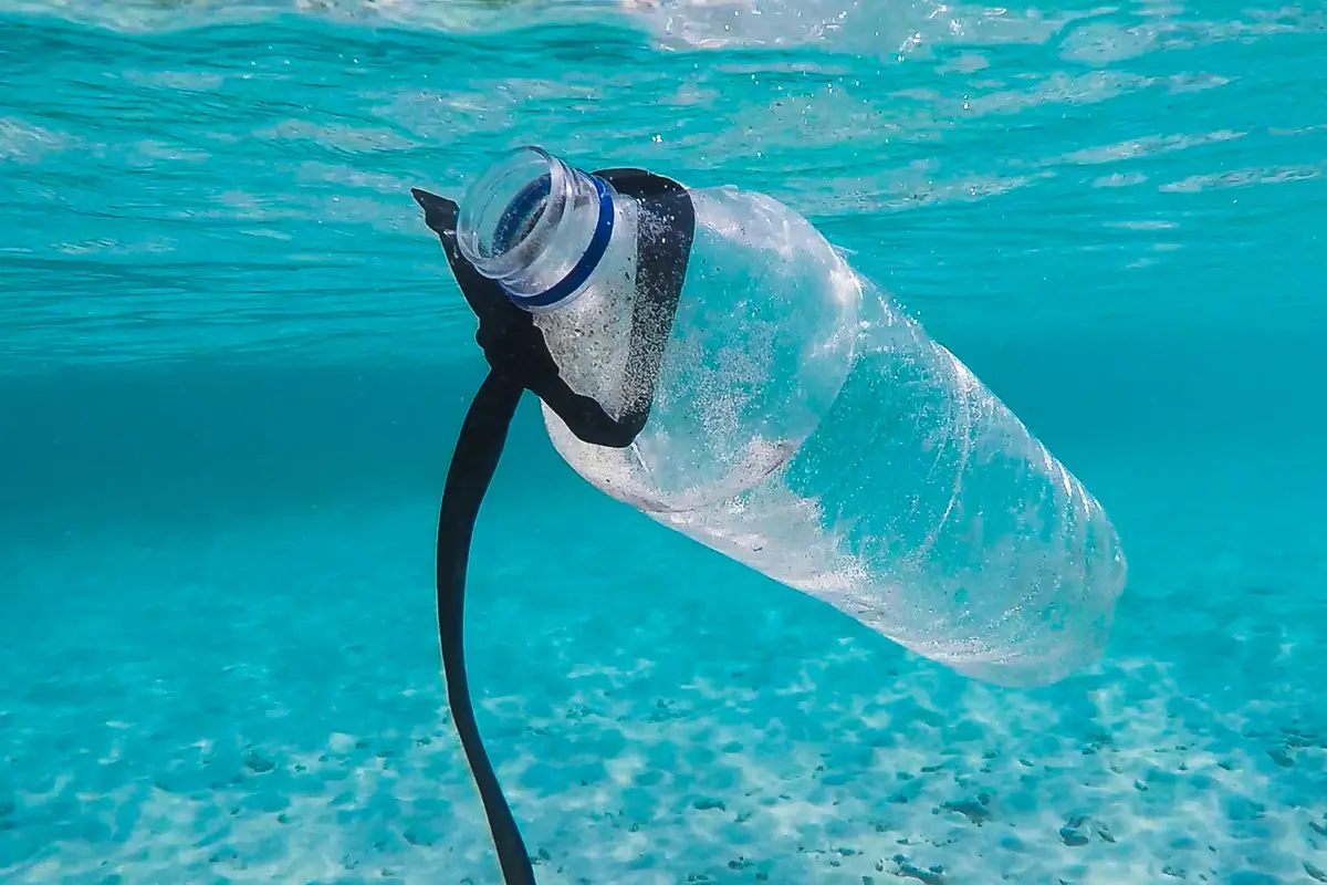 [Fimela] Ilustrasi Sampah Plasti di Laut