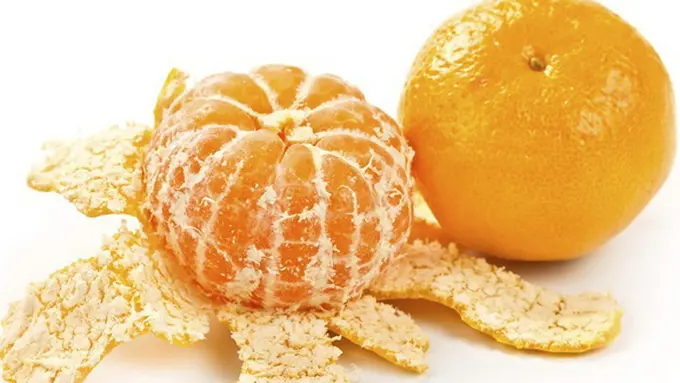 copyright by shutterstock.com