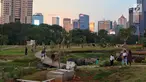 Suasana Hutan Kota di kawasan Gelora Bung Karno, Jakarta, Minggu (6/1). Warga Jakarta kini memiliki alternatif wisata untuk menghabiskan akhir pekan. (Liputan6.com/JohanTallo)