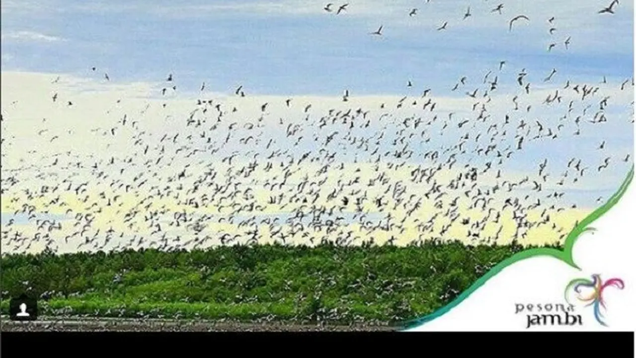 Bertandang ke Pantai Cemara Jambi, Lokasi Mandi Safar Tahun Ini