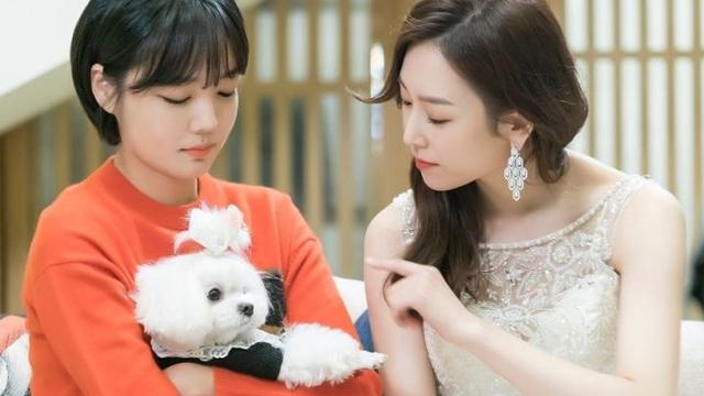 5 Hal yang Membuat Drama The Beauty Inside Sulit Dilupakan 