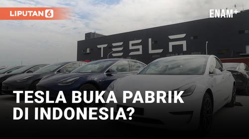 VIDEO: Tesla Akan Buka Pabrik Baru di Indonesia?