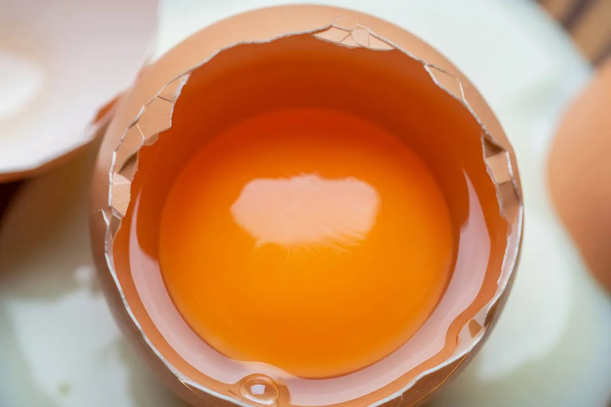 Manfaat Kuning Telur Omega untuk Kesehatan