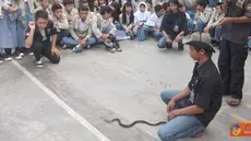 Citizen6, Lampung: Sosialisasi Hewan Ular di Sekolah SMA YP UNILA bersama perkumpulan pecinta satwa reptil dan satwa melata ular (ATROX). (Pengirim: Ervan Ario Prayogo) 