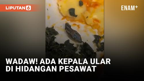 VIDEO: Horor! Kru Kabin Temukan Kepala Ular di Makanan Pesawat