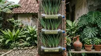Cara Menanam Daun Bawang di Botol Bekas yang Mudah Dirawat, Hemat Tempat dan Cocok untuk Pemula