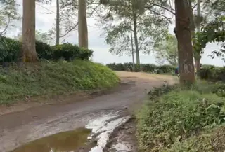 Kondisi infrastruktur yang memprihatinkan tampaknya tidak menyurutkan niat wisatawan menghabiskan waktu libur panjang Paskah di Pondok Halimun, Sukabumi. (Liputan6.com/Fira Syahrin)