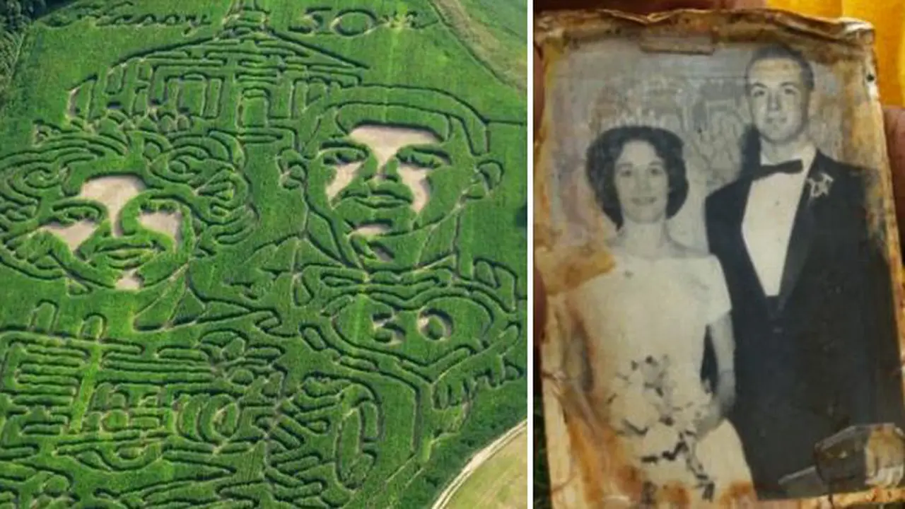 Ukiran foto pernikahan di ladang.