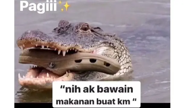 10 Meme Buaya Darat Versi Betina Ala Netizen Ini Bikin Geleng Kepala