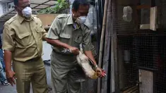 liputan6