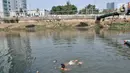 Anak-anak berenang di Kanal Banjir Barat, Jakarta, Minggu (3/11/2019). Mereka memilih berenang di Kanal Banjir Barat karena minimnya fasilitas bermain di kawasan tersebut. (merdeka.com/Iqbal Nugroho)