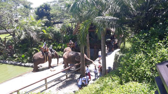 Paket Wisata Keluarga ke Bali