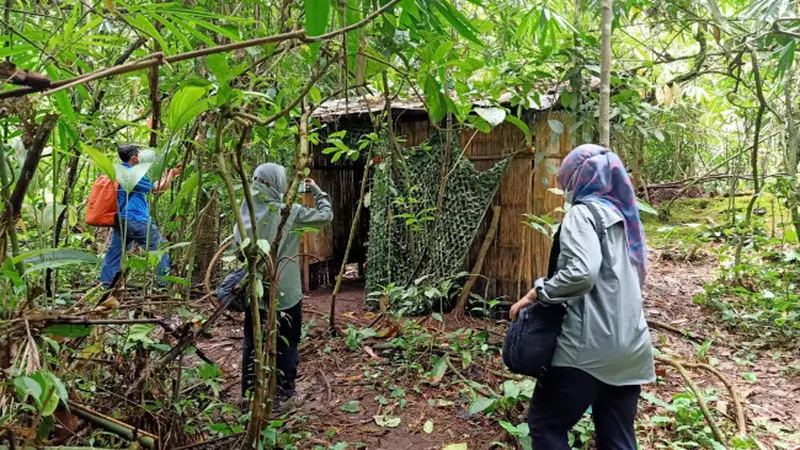 Wisata Baru di Bromo Semeru, Pengamatan Burung dan Anggrek di Hutan
