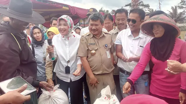 Petani Garut Sambut Panen Raya, Purwakarta Surplus Beras