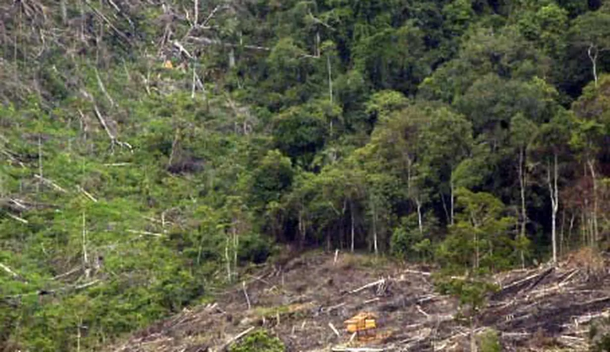 liputan6