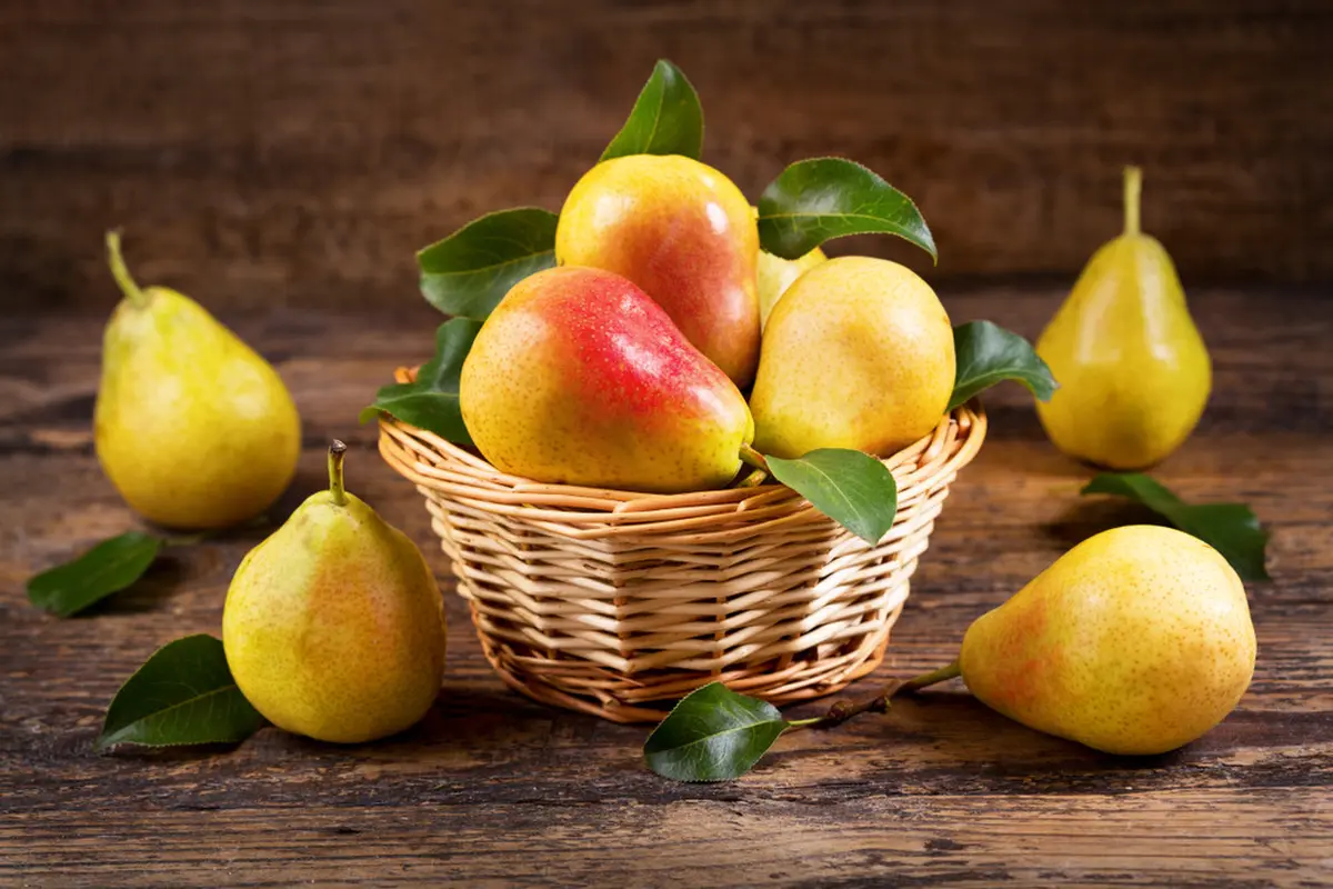 buah pir