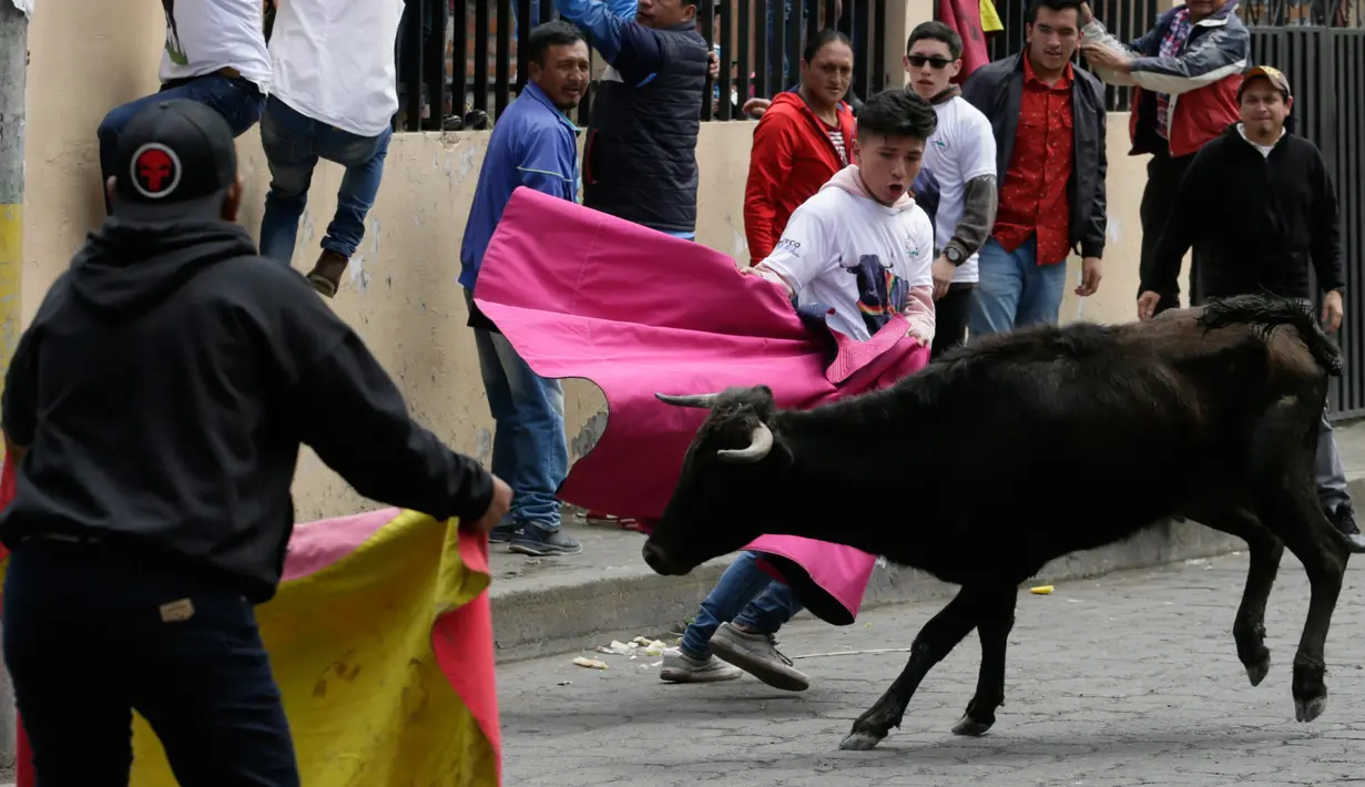Seorang pria melemparkan jubahnya pada banteng muda dalam acara lari dikejar banteng di Pillaro, Ekuador, 4 Agustus 2018. Dalam acara ini, lusinan banteng dilepas dan berlari menabraki para pengunjung yang memadati jalan. (AP/Dolores Ochoa)