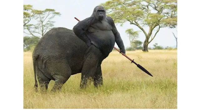 6 Editan Foto Gajah dengan Hewan Lain Ini Absurd, Bikin Ngakak
