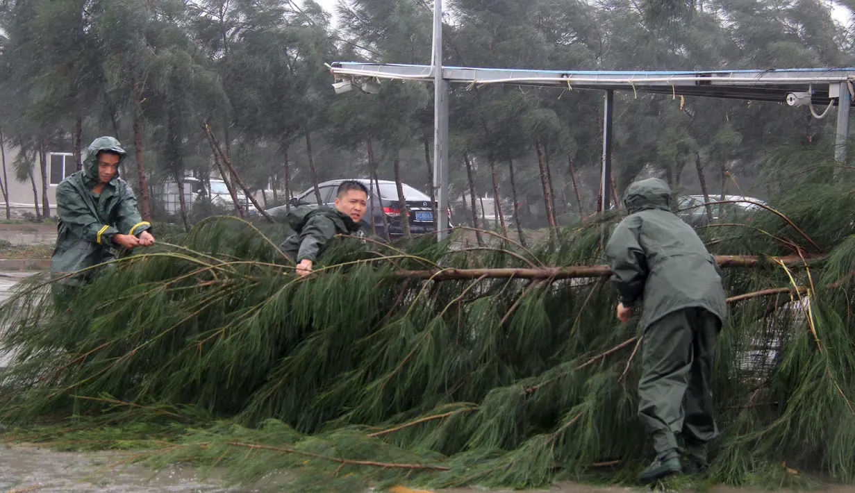 Warga memindahkan pohon tumbang akibat Topan Mujigae di Maoming, Provinsi Guangdong, China, Minggu (4/10/2015). Topan dengan kecepatan angin hingga 180 km per jam menghantam pantai selatan China dan menewaskan sedikitnya empat orang. (REUTERS/Stringer)