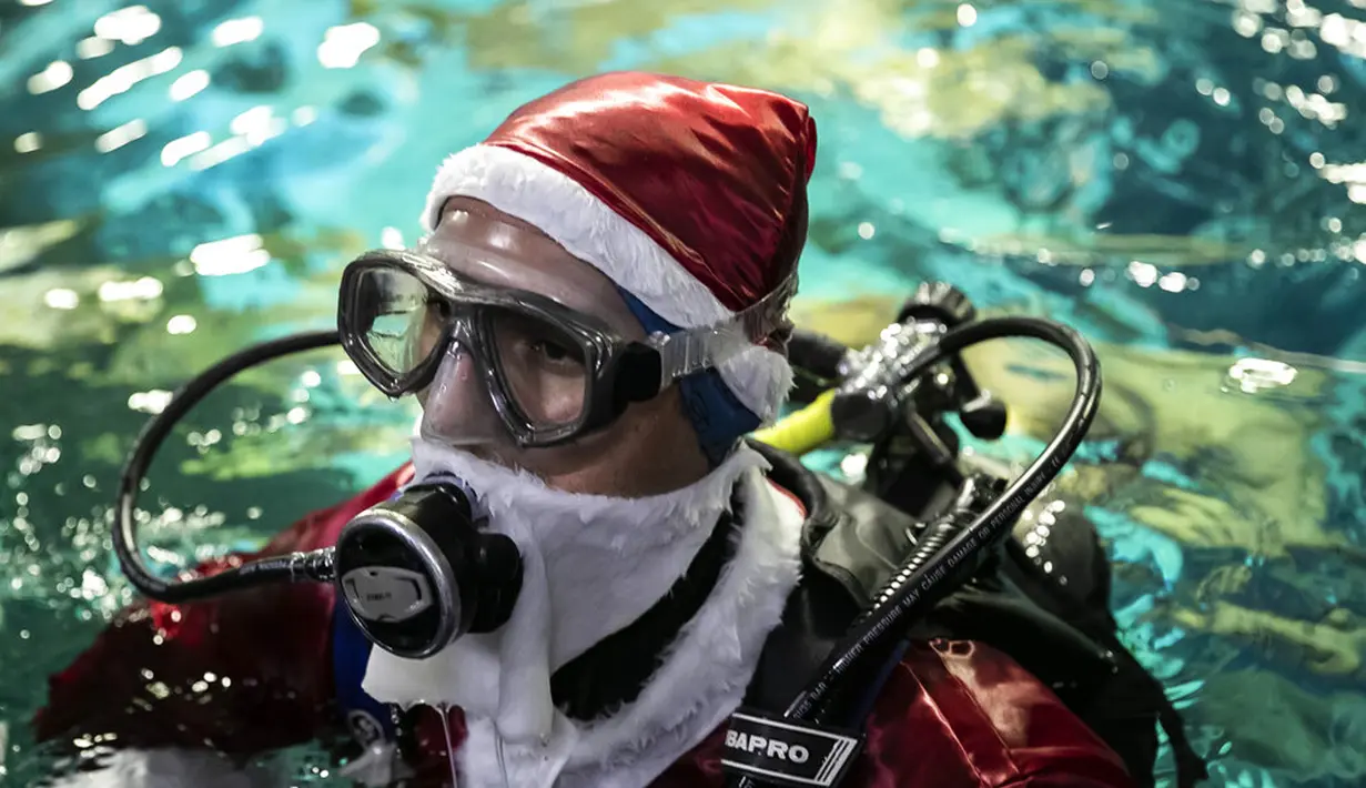 Aquarist Volmer Salvador bersiap berenang dalam akuarium AquaRio mengenakan kostum Sinterklas saat musim Natal di Rio de Janeiro, Brasil, 20 Desember 2021. Dengan luas bangunan sekitar 26.000 meter persegi, AquaRio dianggap sebagai akuarium laut terbesar di Amerika Selatan. (AP Photo/Bruna Prado)