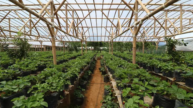 6 Destinasi Ekowisata yang Bisa Dikunjungi Saat Liburan Sekolah