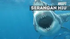 Gigitan hiu sebabkan Cooper mengalami luka di bagian pinggang.