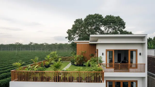 Model Rumah Minimalis Sederhana Dekat Perkebunan