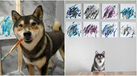 Doc: www.instagram.com/shiba.art.online/