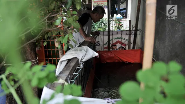 Melihat Suasana Kampung Proklim Sunter Jaya
