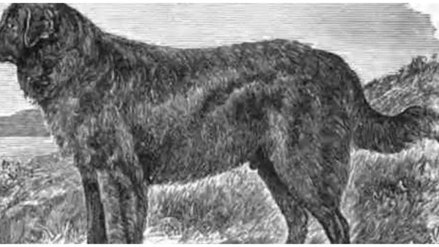 Foto : copyright toptenz.net