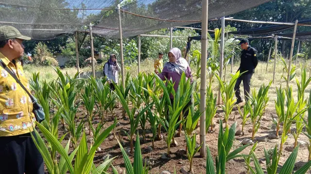 Ditjenbun
