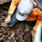 Petugas kebersihan menarik bungkusan kabel yang menyumbat saluran air di Jalan Merdeka Selatan, Jakarta, Senin (29/2). Basuki Tjahaja Purnama (Ahok) mengatakan adanya dugaan sabotase banjir akibat limbah kulit kabel tersebut (Liputan6.com/Faizal Fanani)