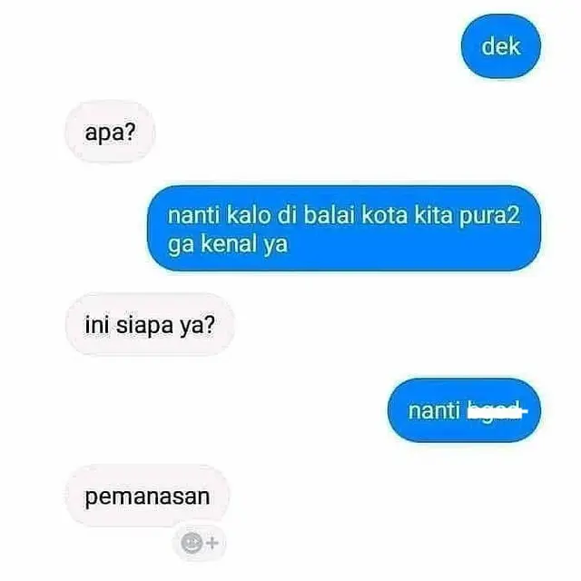 8 Chat Kocak Kakak Adik Ini Bikin Geleng Kepala, Absurd Banget